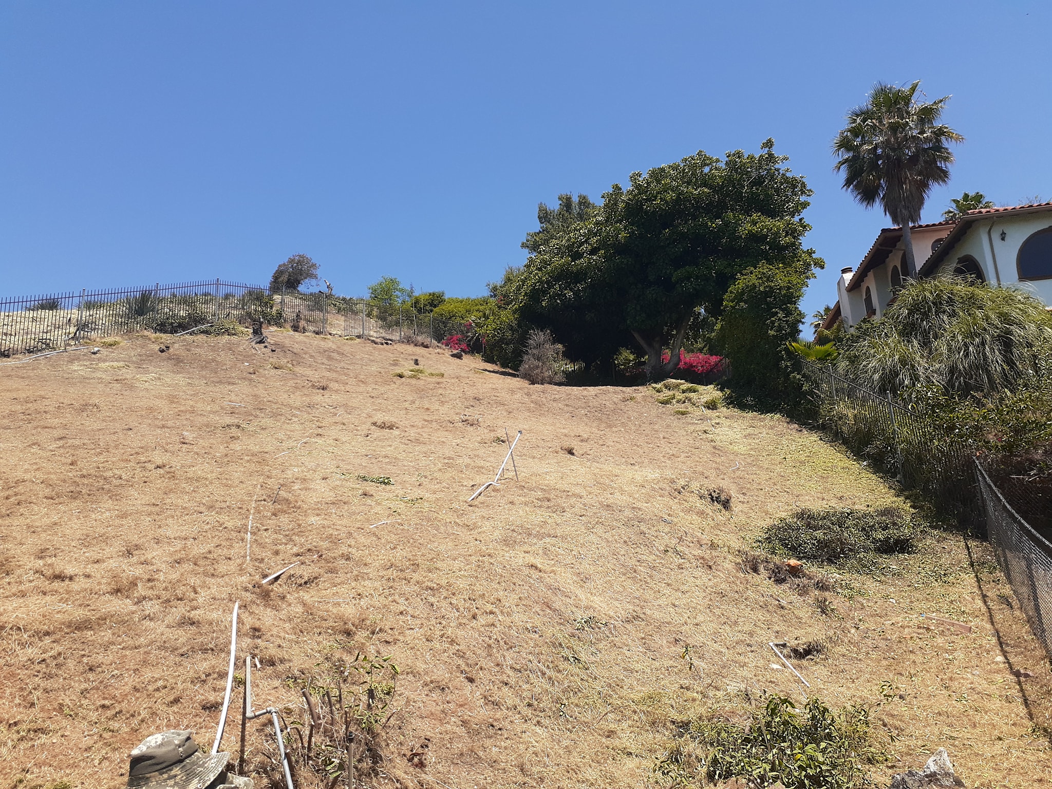 Hillside cleaning - hillside/hillside01.jpg