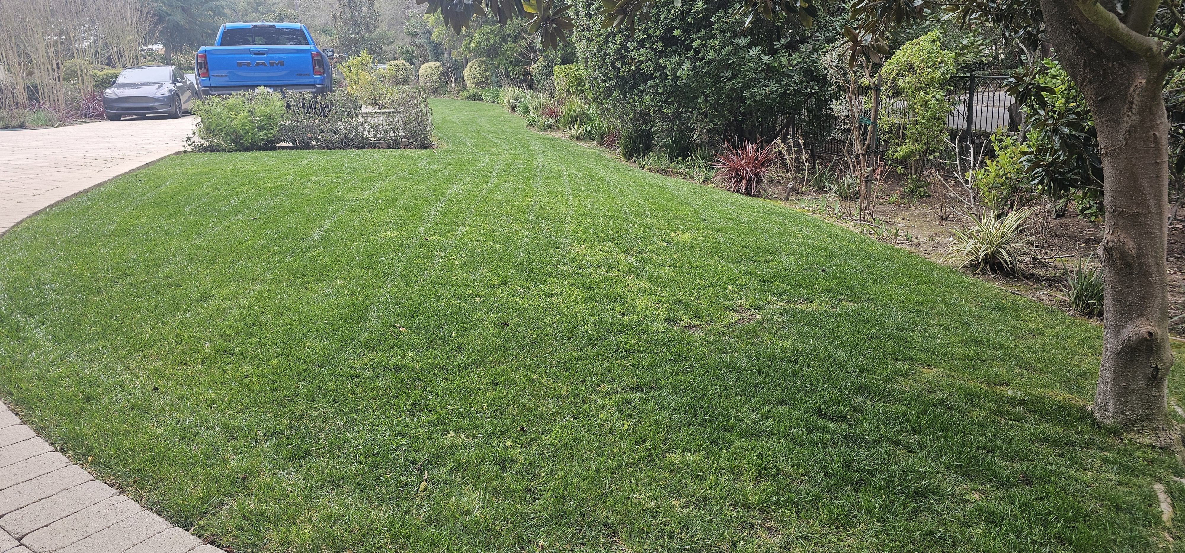Lawn Care - lawncare/lc03.jpg