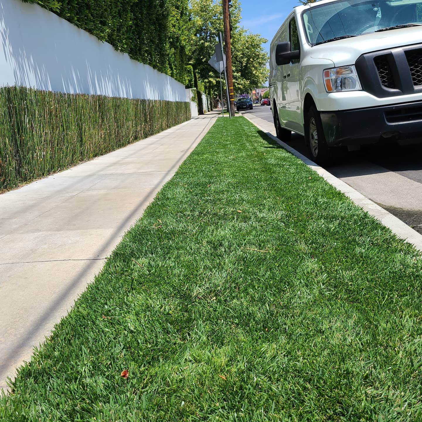 Lawn Care - lawncare/lc08.jpg