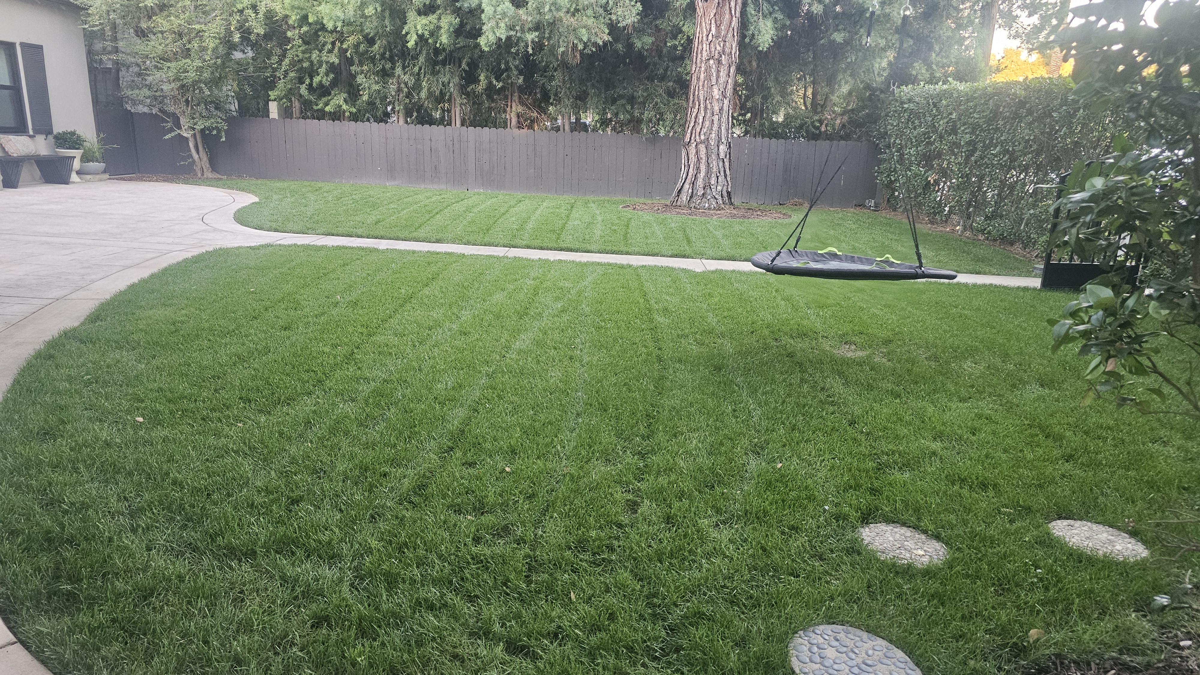 Lawn Care - lawncare/lc10.jpg