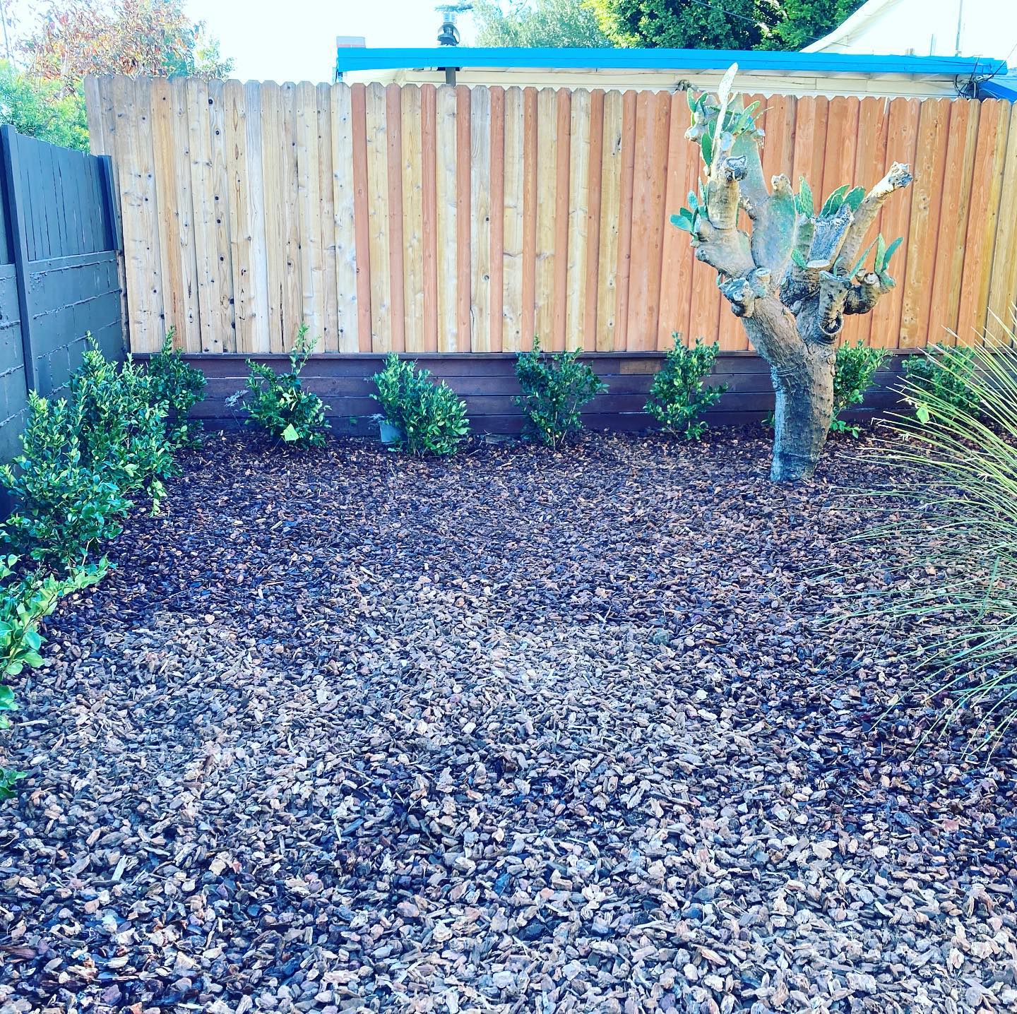 Mulching - mulching/mulching04.jpg